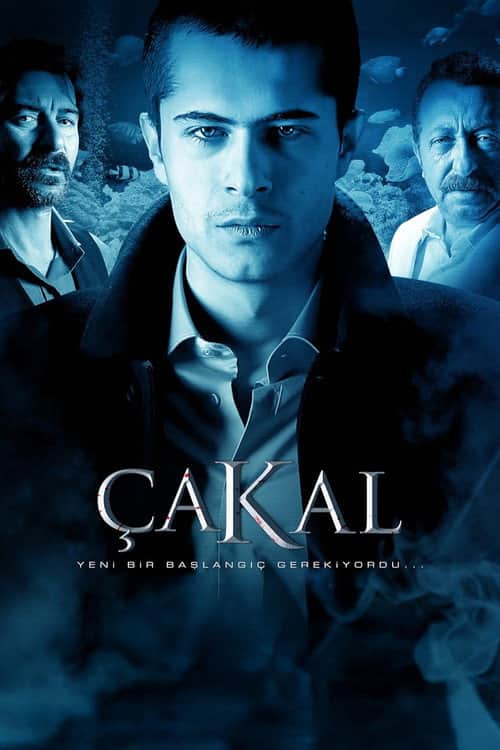 Шакал