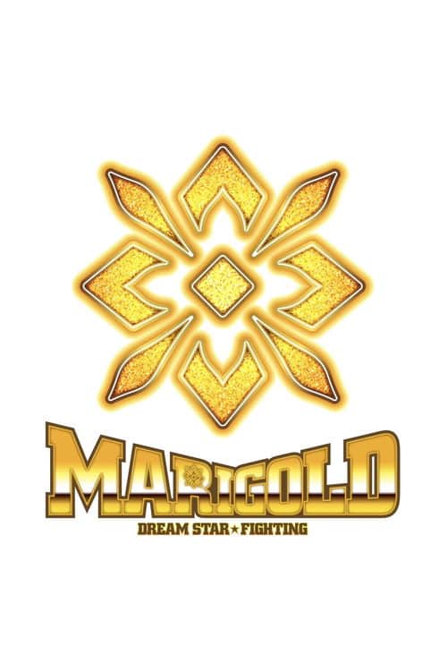 Dream Star★Fighting Marigold