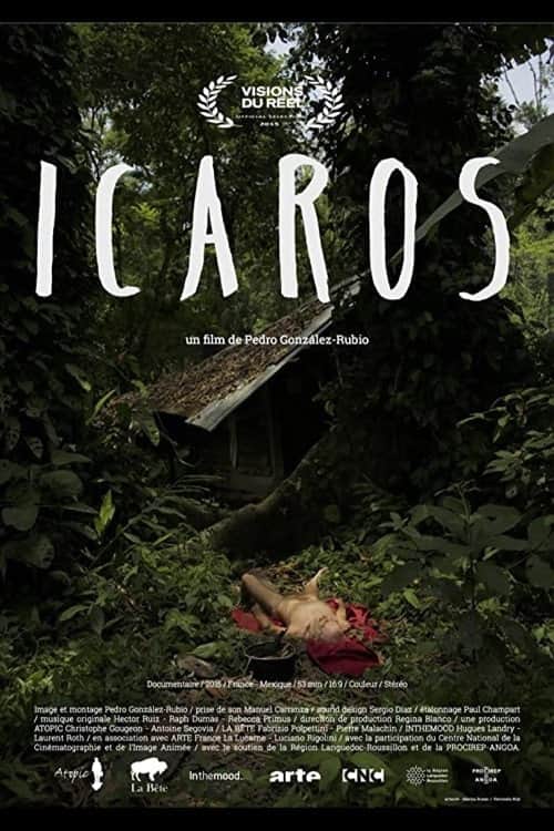 Ícaros