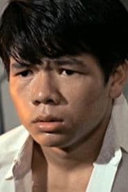 岑潛波