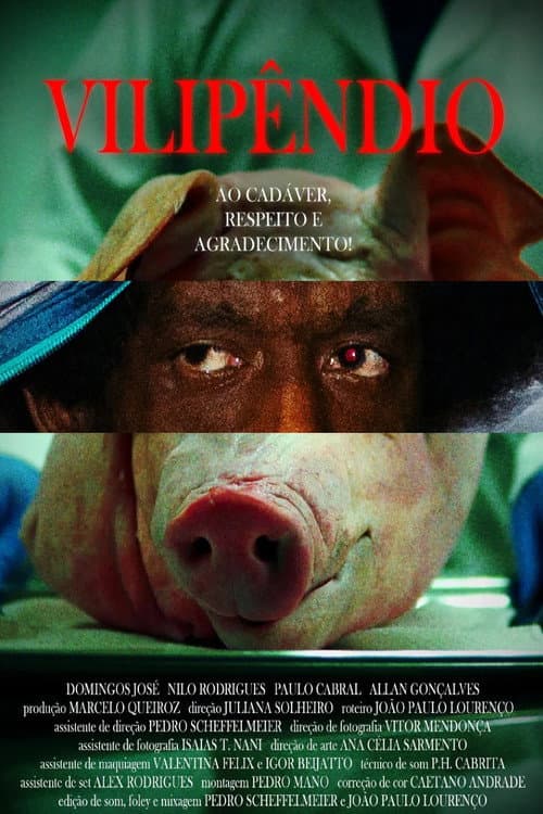 Vilipêndio