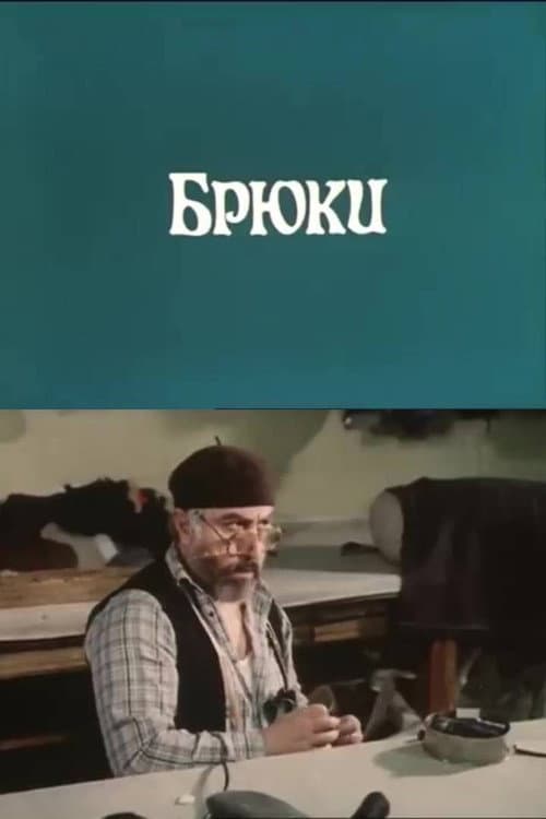 Брюки