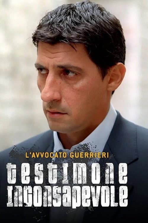 L'avvocato Guerrieri