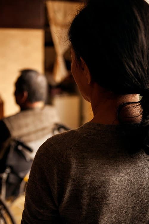仙人掌