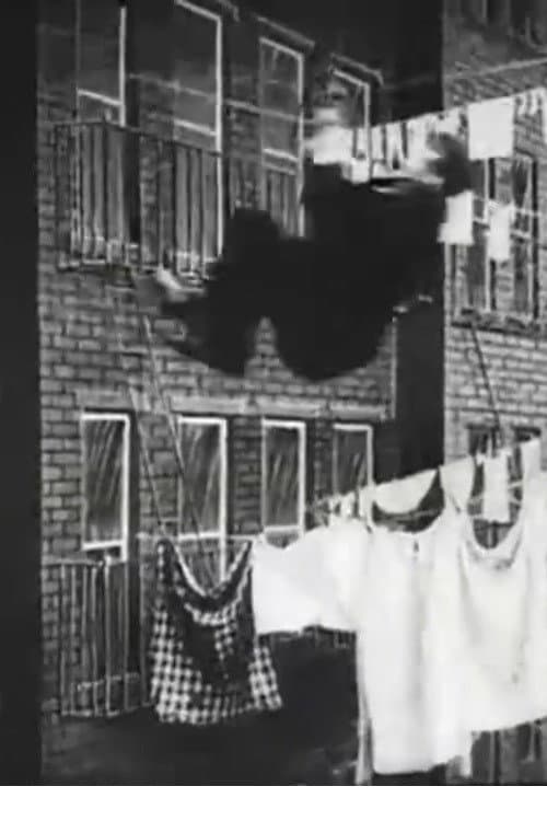 The Burglar's Slide for Life