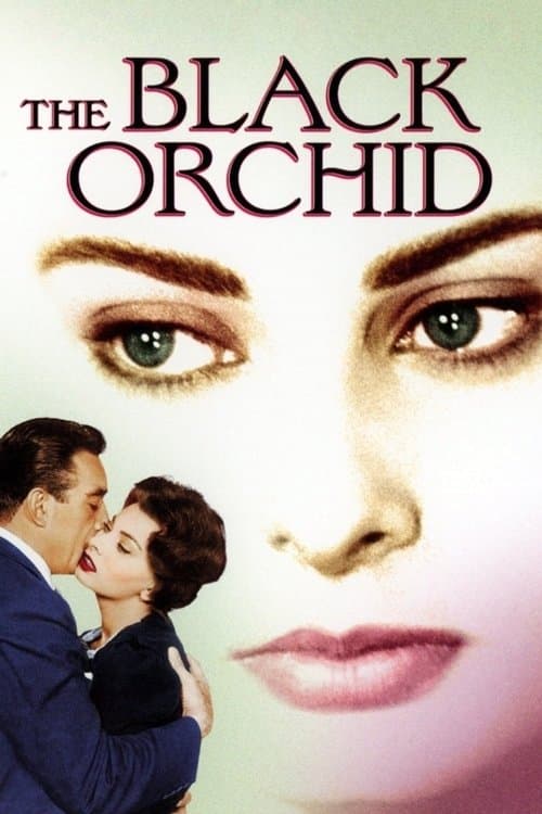 Черная орхидея