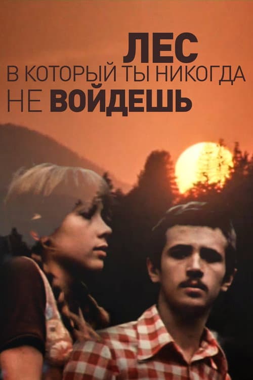 Лес, в который ты никогда не войдёшь