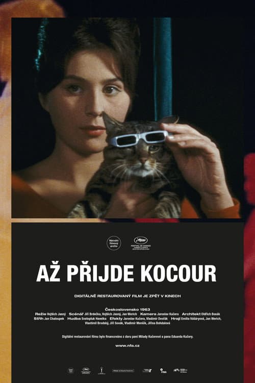 Вот придёт кот