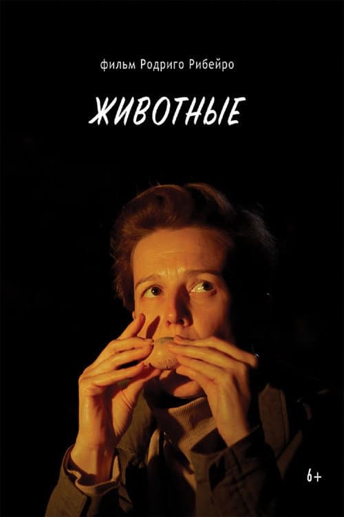 Животные