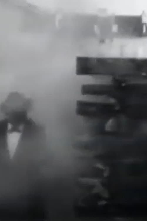 Wood Fire