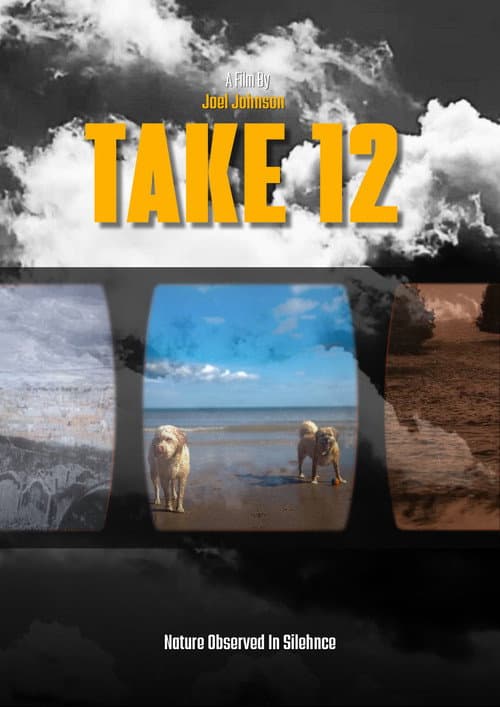 Take 12