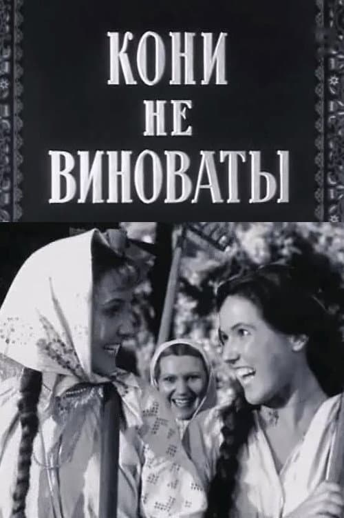 Кони не виноваты