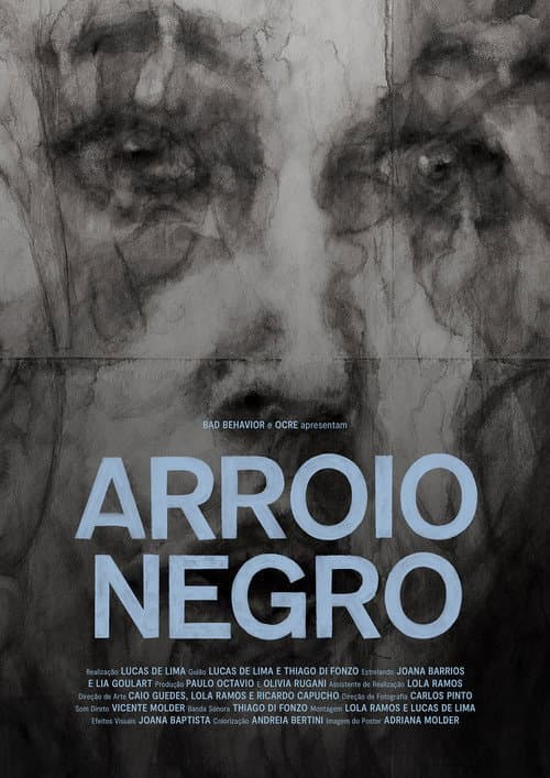Arroio Negro