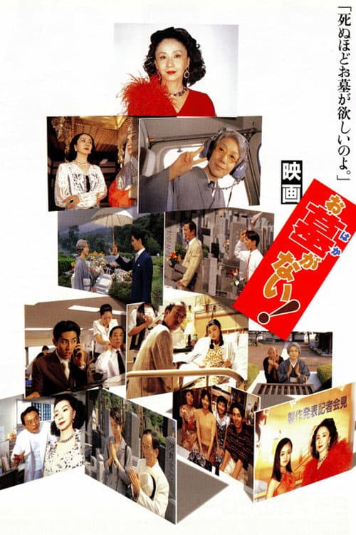 お墓がない!