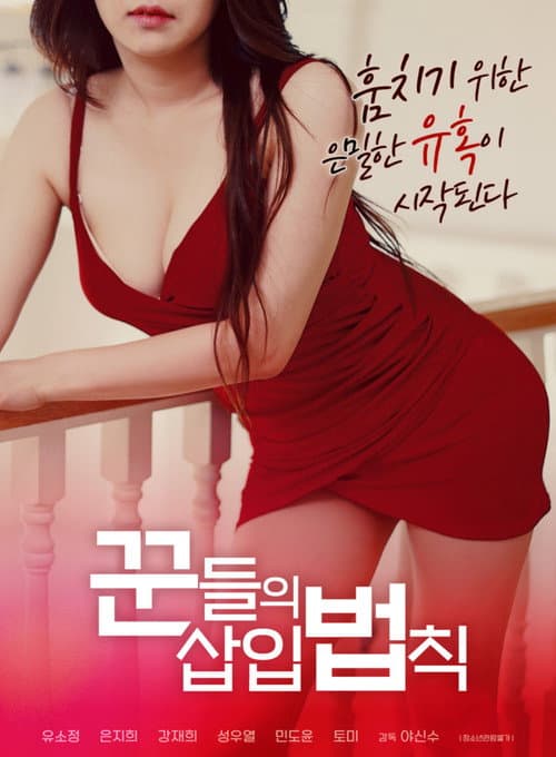 꾼들의 삽입 법칙