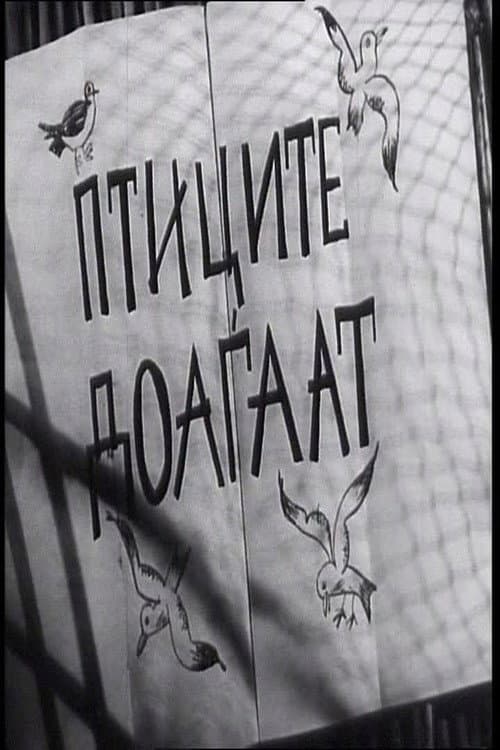 Птиците доаѓаaт