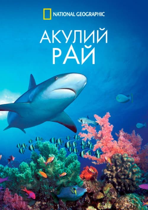 Акулий рай