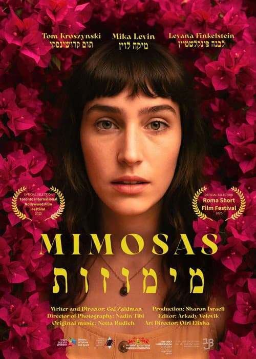 מימוזות