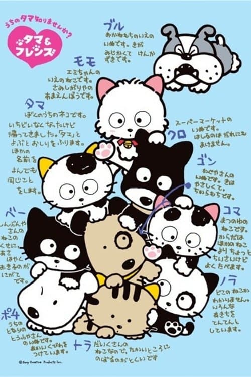 3丁目のタマ うちのタマ知りませんか?