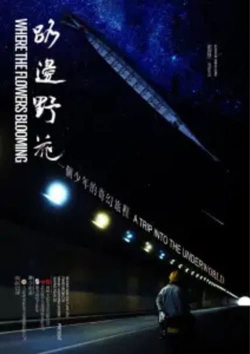 路边野花