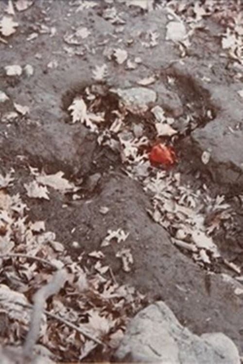 Corazón de Roca con Sangre