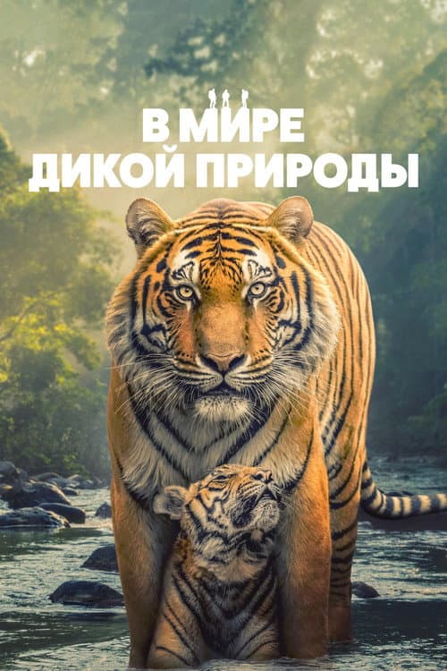 В мире дикой природы