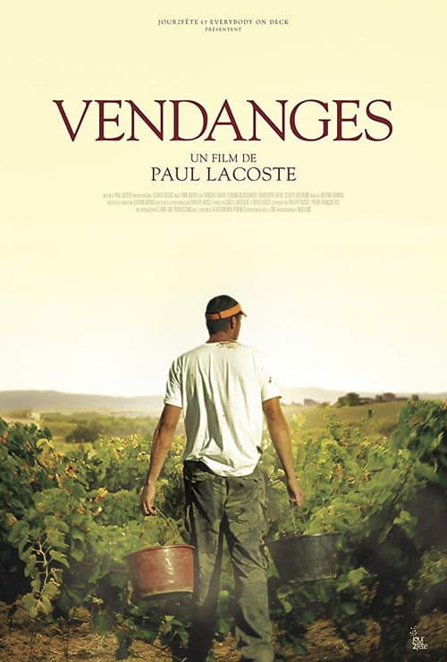 Vendanges