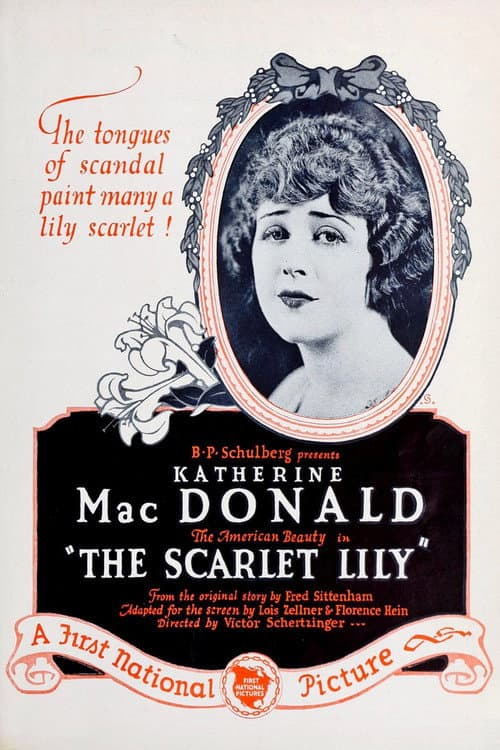 The Scarlet Lily