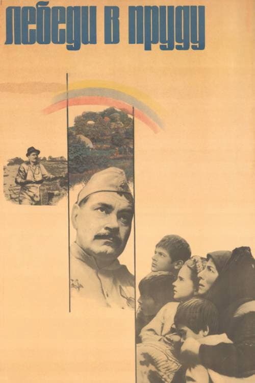 Лебеди в пруду