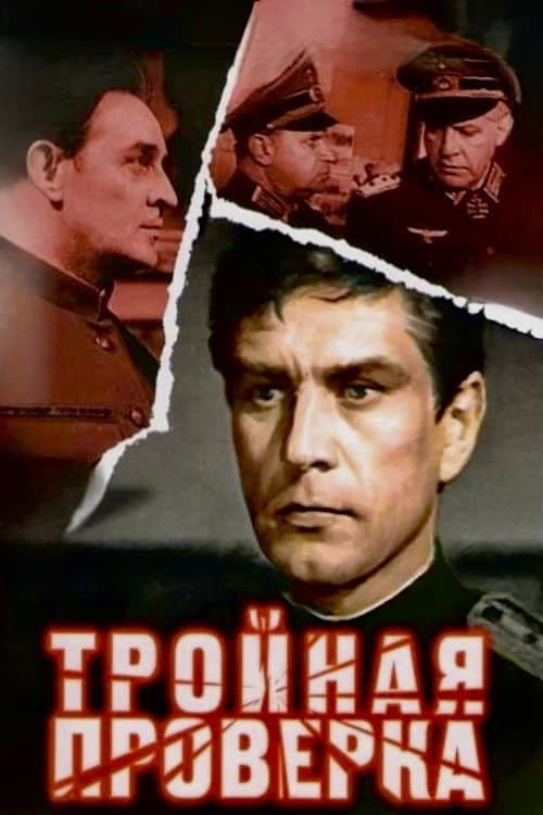 Тройная проверка