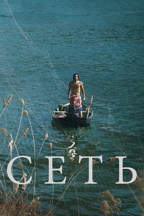 Сеть