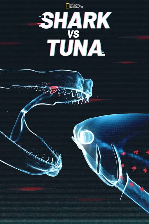 Акула против тунца