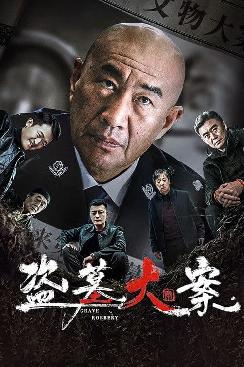 盗墓大案