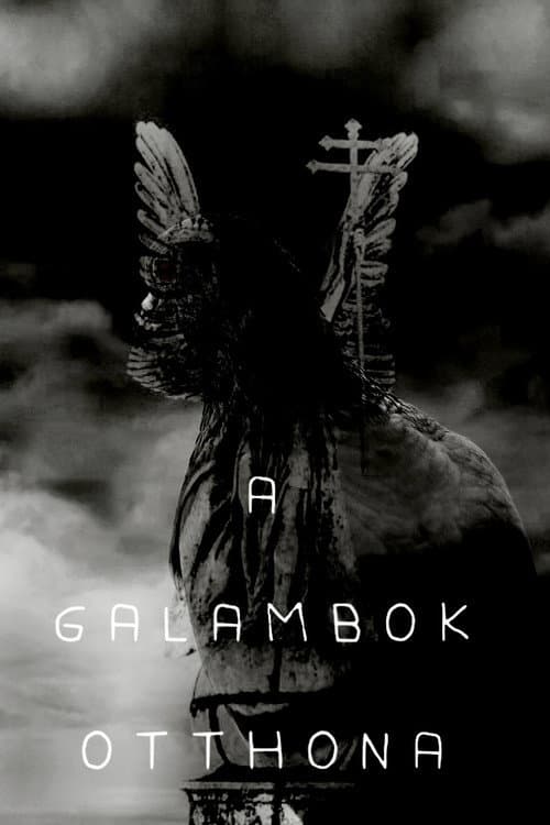 A galambok otthona