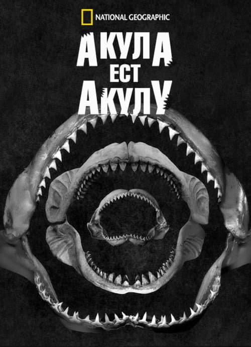 Акула Ест Акулу
