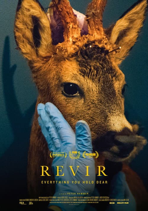 Revir