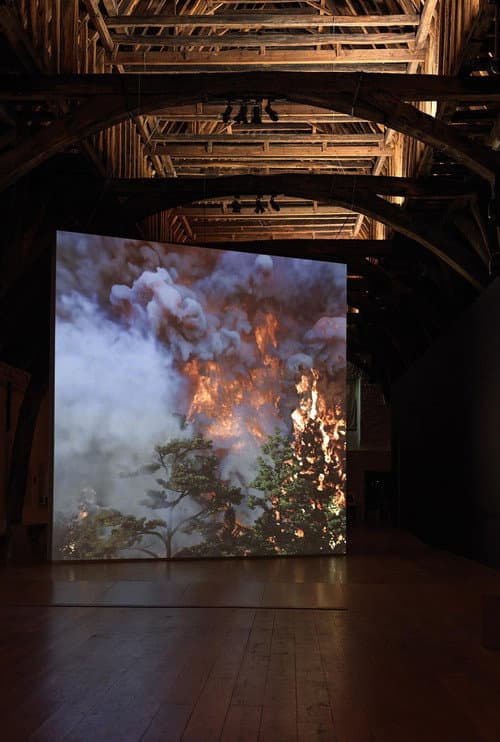 Wildfire