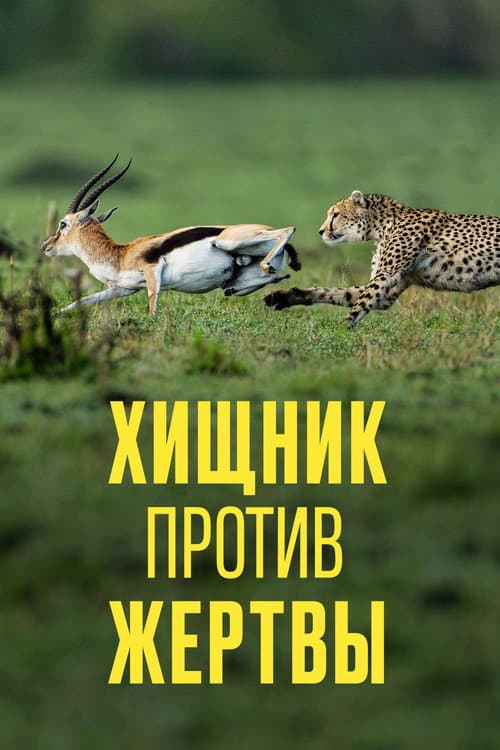Хищник против жертвы
