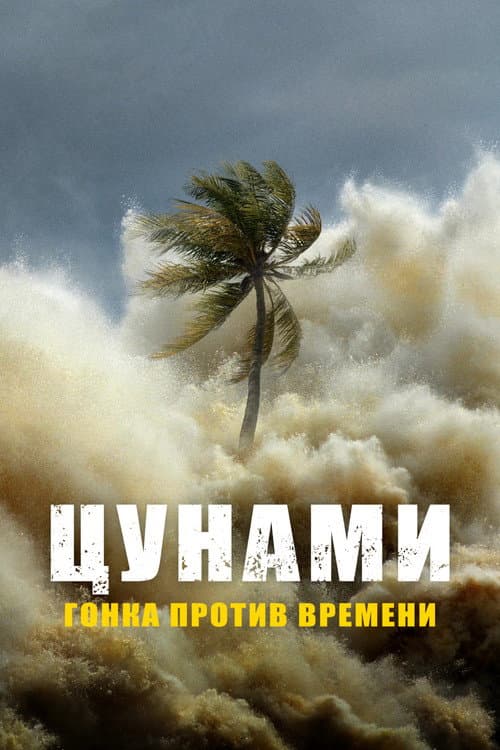Цунами: наперегонки со временем