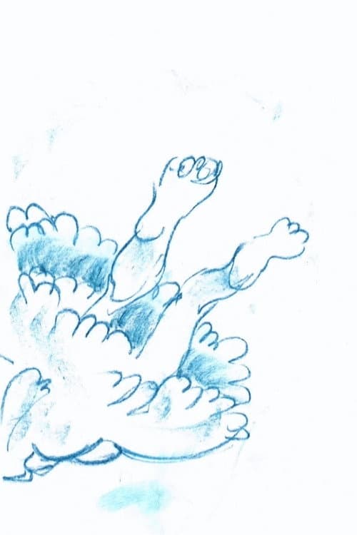 水母