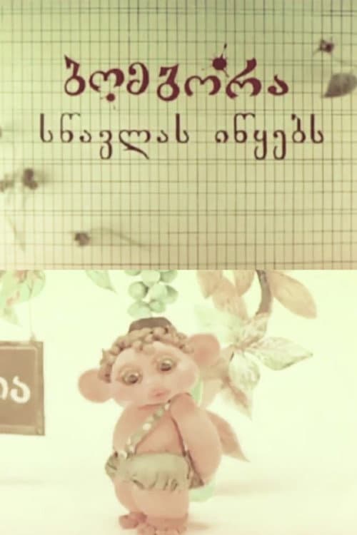Бомбора начинает учиться