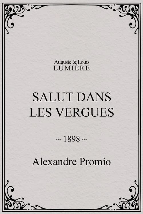 Salut dans les vergues