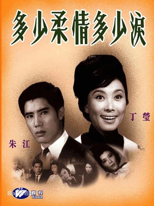 多少柔情多少淚