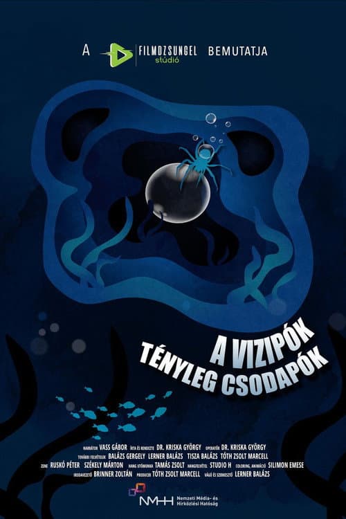 A vízipók tényleg csodapók