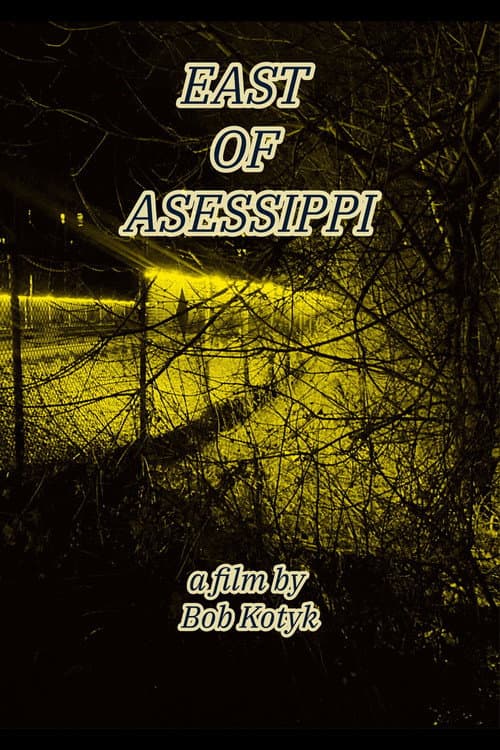 East of Asessippi