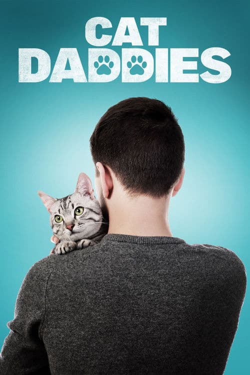 Котики