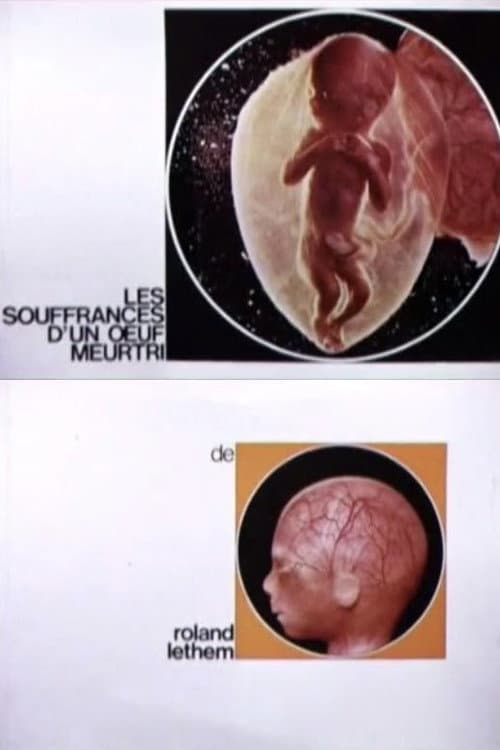 Les souffrances d'un oeuf meurtri