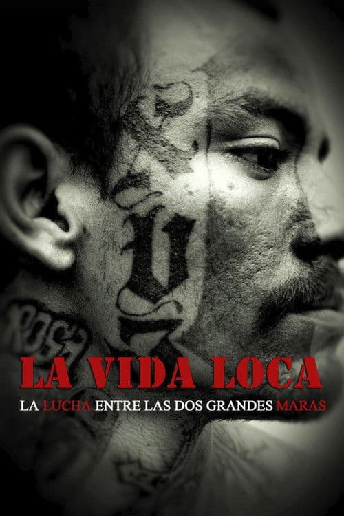 La vida loca