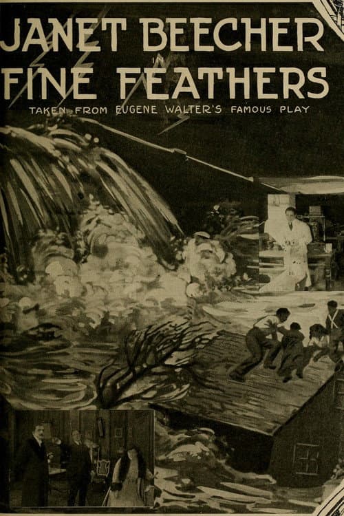 Fine Feathers