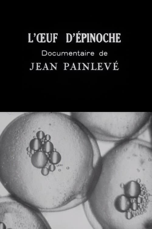 L'Oeuf d'épinoche